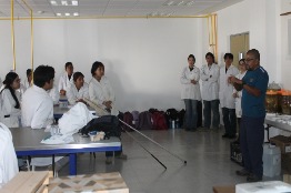 Académico de la UAM destaca impacto de las mariposas en la biodiversidad