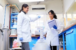 Investigadores trabajan en la disminución de agresividad de células de leucemia linfoblástica aguda