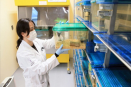 INVESTIGADORA DE LA UAM ES GALARDONADA POR ESTUDIOS SOBRE EL IMPACTO DE LAS DIETAS HIPERCALÓRICAS EN EL DETERIORO COGNITIVO